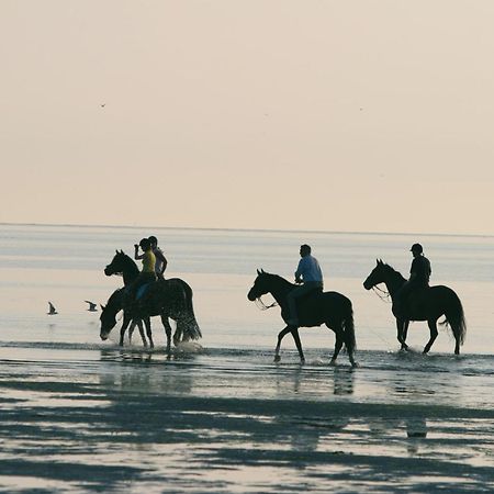 Bed & Breakfast Van Marion Остворне Екстер'єр фото